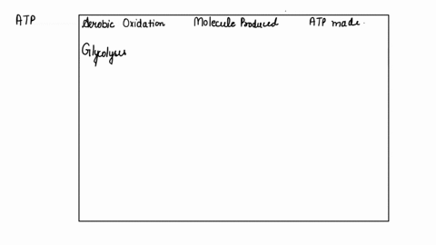 how-much-atp-can-be-obtained-by-the-cell-from-the-complete-oxidation-of-one-glucose-vs-anaerobically-converting-to-lactate-or-ethanol-fill-in-the-table-below-aerobic-oxidation-of-glucose-mol-00575