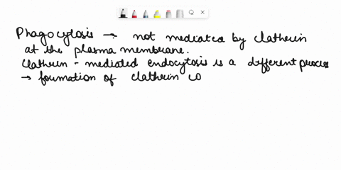 81_-which-of-the-following-statements-is-false-regarding-phagocytosis-a-it-involves-ingestion-of-large-particles-by-the-cell-b-it-involves-the-projection-of-pseudopodia-c-it-is-method-used-p-50793