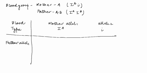 in-this-scenario-the-mother-has-blood-type-and-is-heterozygous-ai-the-father-has-blood-type-ab-14p-remember-the-and-alleles-are-codominant-with-each-other__but-both-are-dominant-t0-the-allel-81797