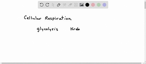 the-reactions-of-glycolysis-occur-in-the-cells-_____________-the-reactions-of-the-krebs-citric-acid-cycle-occur-in-the-___________-a-cytoplasm-mitochondria-b-cytoplasm-cytoplasm-c-mitochondr-58836