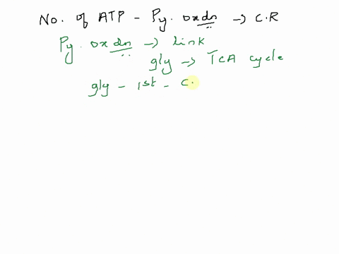 how-many-atp-are-produced-during-the-pyruvate-oxidation-step-of-aerobic-respiration-14144