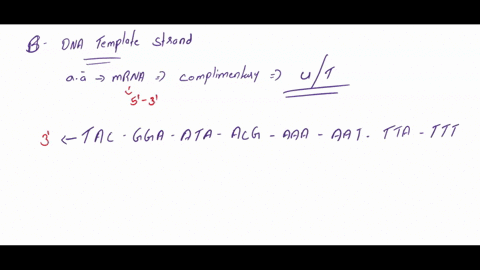 for-the-following-amino-acid-sequence-fill-in-the-following-use-the-genetic-code-chart-below-if-there-could-be-more-than-one-correct-answer-pick-any-one-t0-use-a-amino-acid-sequence-met-ser-37211