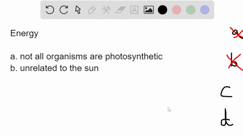 the-sun-is-considered-the-ultimate-source-of-energy-for-life-on-earth-because-he-sun-is-considered-the-uitimate-source-of-energy-for-life-on-earth-because-all-organisms-carry-out-photosynthe-84531