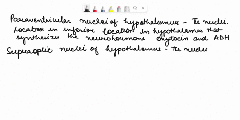 reset-help-paraventricular-nuclei-of-hypothalamus-the-nuclei-located-in-a-superior-location-in-the-hypothalamus-that-synthesizes-neurohormone-oxytocin-or-adh-supraoptic-nuclei-of-hypothalamu-01347