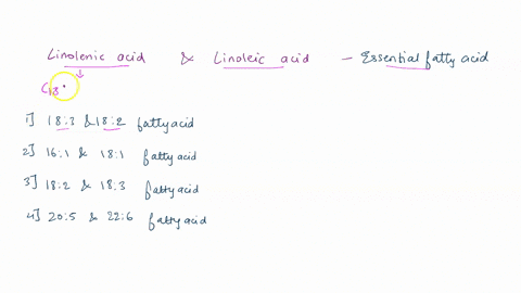 linolenic-acid-and-linoleic-acid-the-essential-fatty-acids-are-respectively-183-and-182-fatty-acids-46-and-18-1-fatty-acids-182-and-183-fatty-acids-205-and-226-fatty-acids-88277