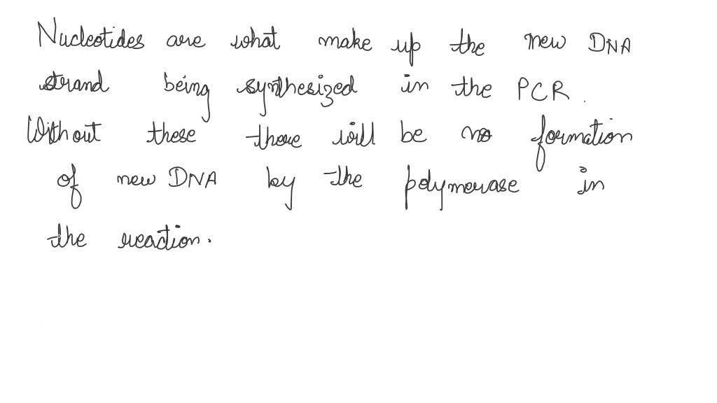 SOLVED Why are there nucleotides (A, T, G, and C) in the master mix