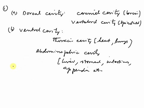 identify-the-major-organs-that-are-contained-in-each-cavity-listed-below-indicate-whether-they-belong-in-a-cavity-subdivision-and-if-so-name-the-cavity-subdivision-dorsal-cavity-ventral-cavi-40798