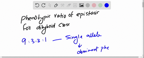 can-epistasis-produce-a-phenotypic-ratio-of-106-for-a-dihybrid-cross-a-true-b-false-21094
