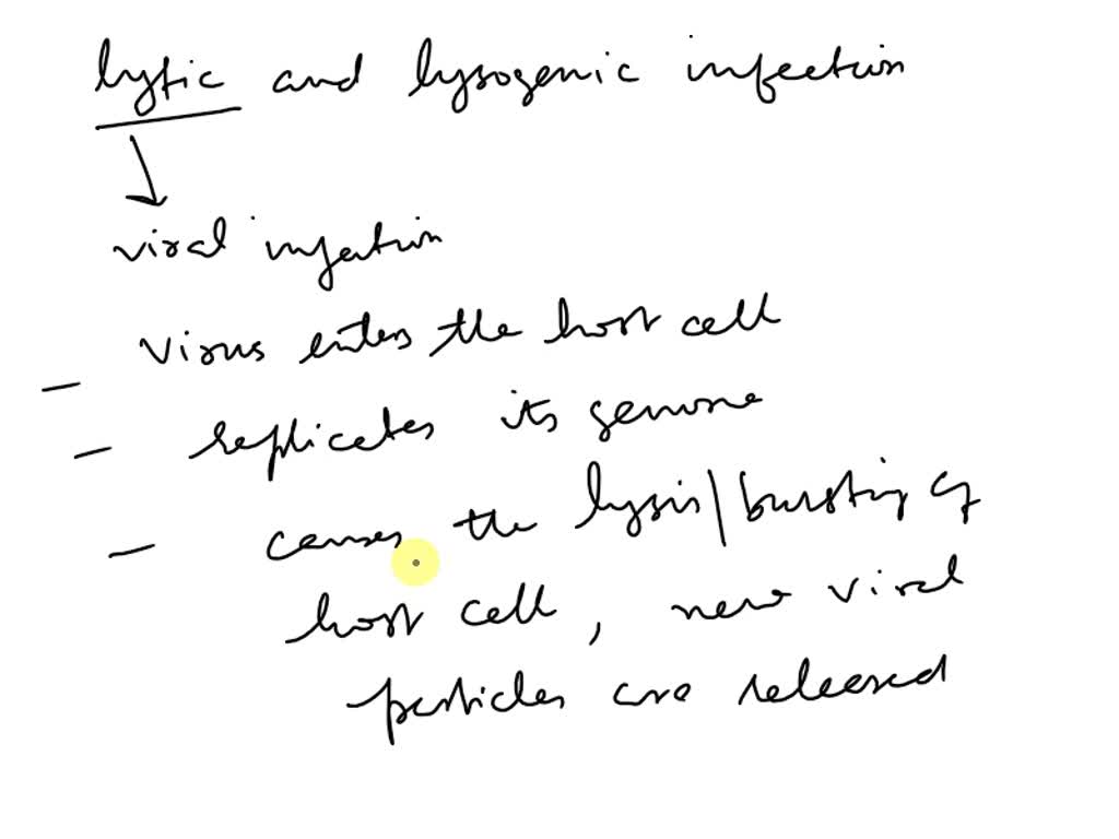 solved-what-is-a-lytic-infection-and-what-is-a-lysogenic-infection