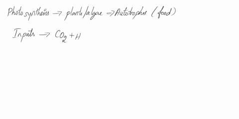 question-12-in-photosynthesis-______-and-______-are-used-to-build_______-and-release______-carbon-dioxide-water-sugar-oxygen-glucose-oxygen-water-carbon-dioxide-glucose-ethanol-atp-nad-carbo-81434
