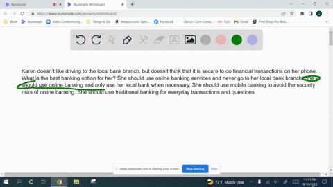 karen-doesnt-like-driving-to-the-local-bank-branch-but-doesnt-think-that-it-is-secure-to-do-financial-transactions-on-her-phone-what-is-the-best-banking-option-for-her-she-should-use-online-99303