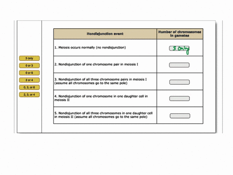 number-0i-chromosomes-m-gametes-nendisjunctcn-event-meiosis-occurs-normally-no-nondisjunction-only-0-or-3-nondisjunction-of-one-chromosome-pair-in-melosis-0-ort-2-or-4-nondisjunction-of-all-74884