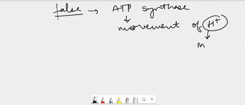 accurate-statements-inaccurate-statements-answer-bank-atp-synthase-uses-energy-from-atp-to-move-h-into-the-mitochondrial-matrix-the-ph-in-the-intermembrane-space-is-higher-than-the-ph-in-the-58486