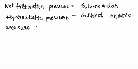 calculate-the-net-filtration-pressure-if-the-hydrostatic-pressure-in-the-glomerulus-is-58-mm-hg-the-colloid-oncotic-pressure-is-25-mm-hg-and-the-pressure-of-the-filtrate-in-bowmans-capsule-i-29925