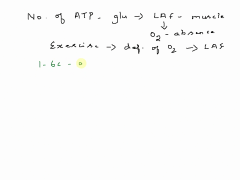 per-glucose-how-many-molecules-of-atp-are-produced-during-lactic-acid-fermentation-in-a-human-muscle-cell-83842