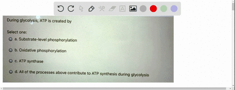 during-glycolysis-atp-is-created-by-select-one-substrate-level-phosphorylation-b-oxidative-phosphorylation-atp-synthase-d-all-of-the-processes-above-contribute-to-atp-synthesis-during-glycol-10622