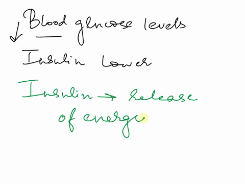 insulin-lowers-blood-glucose-levels-means-that-_______________-ainsulin-signals-target-cells-to-increase-uptake-of-glucose-molecules-from-the-blood-binsulin-binds-to-glucose-molecules-and-re-97839