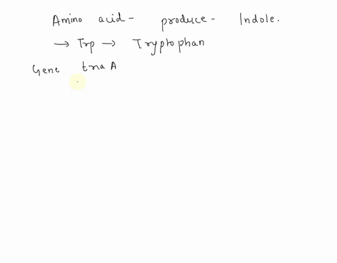 which-of-the-following-amino-acids-is-catabolized-to-produce-indole-a-serine-b-threonine-c-tyrosine-d-tryptophan-e-valine-32907