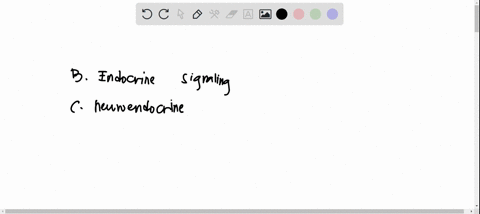 match-these-examples-to-the-correct-type-of-signaling-estradiol-released-into-the-blood-stream-acts-on-the-pituitary-cells-a-paracrine-signaling-oxytocin-produced-in-hypothalamic-neurons-rel-81384