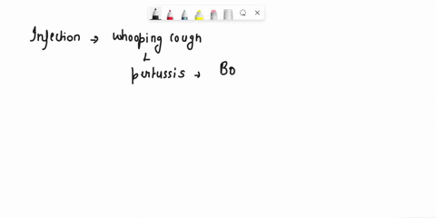 describe-pathogenesis-of-whooping-cough-explain-why-the-main-clinical-manifestations-whooping-cough-are-attacks-ofparoxysmal-cough-24694