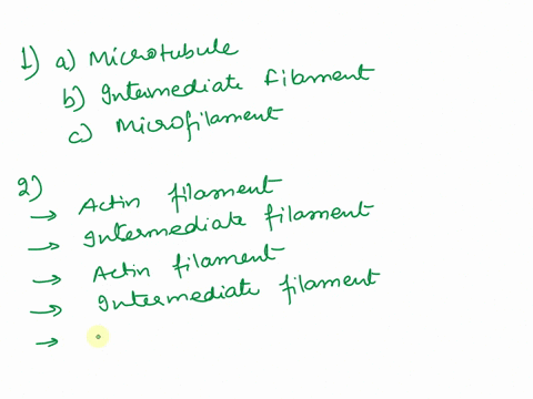 7020-helweaur-mfolo-cxismeletoshanil-hemne-cella-choxi-cpulhelen-bluck-ilncs-dcracieu-eytoskcletal-aluctunt-adentin-teiow-microe-larert-enternelale-fitents-aicrotubules-each-sltement-bclow-r-67427