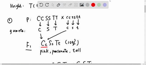 three-gene-pairs-located-on-separate-autosomes-determine-flower-color-and-shape-as-well-as-plant-height-the-first-pair-exhibits-incomplete-dominance-where-color-can-be-red-pink-the-heterozyg-45417