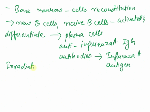 irradiation-of-mice-with-a-dose-of-600-rad-of-total-body-irradiation-eliminates-95-of-total-lymphocytes-from-spleen-and-lymph-nodes-and-also-eliminates-all-antigen-specific-memory-b-cells-no-56334