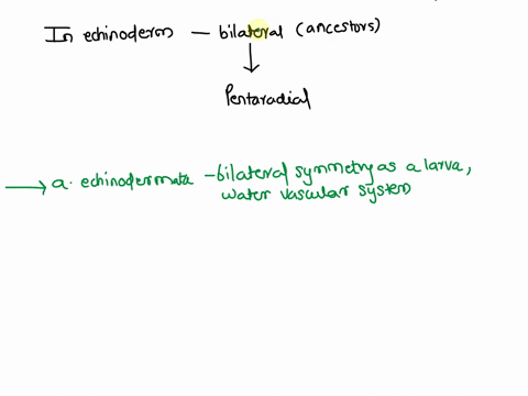 which-of-the-following-combinations-correctly-matches-a-phylum-to-its-description-a-echinodermata-bilateral-symmetry-as-a-larva-water-vascular-system-b-nematoda-segmented-worms-closed-circul-84475