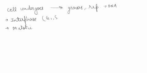 what-is-the-cell-cycle-and-how-does-the-cell-move-through-the-different-phases-of-the-cell-cycle-a-complete-answer-will-describe-the-phases-and-the-molecular-mechanisms-that-allows-cells-to-93238