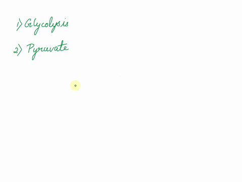 cellular-respiration-can-be-broken-into-two-sets-of-reactions-the-first-set-of-reactions-is-glycolysis-which-occurs-in-the-cytoplasm-of-cell-in-this-set-of-reactions-glucose-is-broken-down-i-27248
