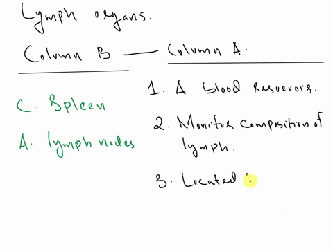 column-a-column-1a-blood-reservoir-a-lymph-nodes-2-monitor-composition-of-lymph-bpeyers-patches-3-located-between-the-lungs-c-spleen-at-the-base-of-the-throot-d-thymus-4-collectively-called-92306