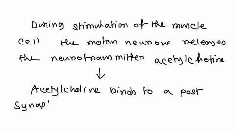 what-is-the-role-of-acetylcholine-in-calcium-release-seleccione-una-binds-to-sarcoplasmic-reticulum-causing-calcium-release-binds-to-the-t-tubules-causing-calcium-release-none-of-these-answe-36917