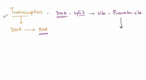 transcription-is-when-dna-is-split-apart-at-a-specific-site-called-a-which-is-initiation-the-enzyme-rna-sets-down-new-rna-which-is-called-elongation-then-mrna-comes-to-completion-termination-96723