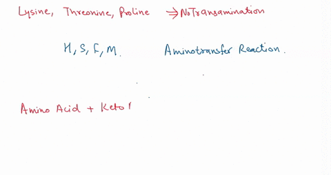 why-cant-lysine-and-threonine-take-part-in-transamination-in-mammals-22546