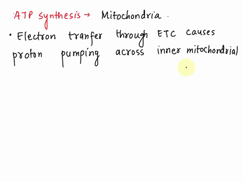 the-energy-for-atp-synthesis-is-generated-by-the-movement-of-protons-from-the-______________-side-of-the-inner-mitochondrial-membrane-establishing-aan-_____________-gradient-intermembrane-el-59692