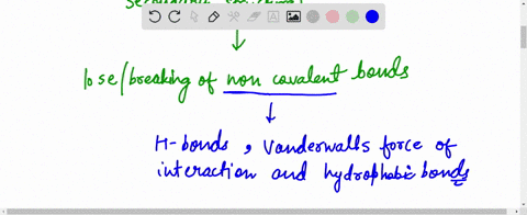 what-is-denaturation-how-or-when-may-it-occur-what-does-a-protein-do-when-it-becomes-denatured-51702