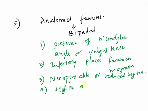 5describe-the-anatomical-features-that-will-help-you-determine-that-a-species-is-bipedal-2-points-6describe-the-anatomical-features-that-will-help-you-identify-a-homo-erectus-2-points-7exami-27316