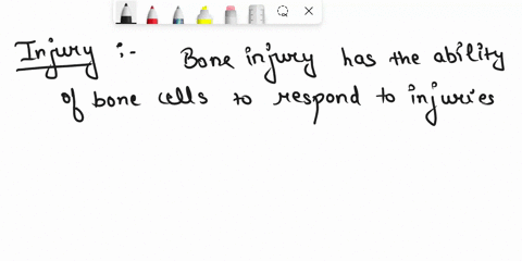 which-is-likely-to-heal-faster-a-bone-injury-or-a-cartilage-injury-why-15496