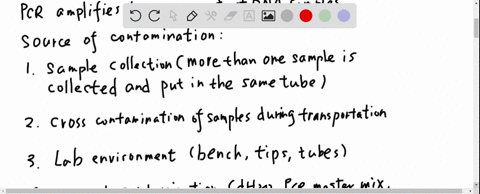 pcr-amplification-of-human-dna-samples-such-as-those-collected-at-a-crime-scene-is-vulnerable-to-contamination-considering-how-pcr-works-contamination-from-what-source-is-the-main-concern-an-94216