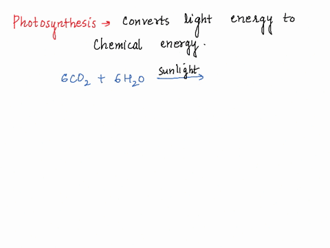 what-gas-is-produced-in-photosynthesis-that-directly-benefits-us-hydrogen-oxygen-carbon-dioxide-nitrogen-44137