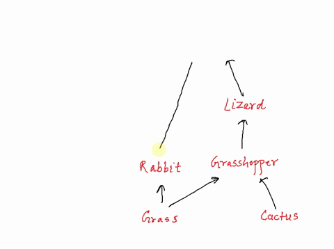 1-pick-two-plants-and-four-animals-draw-a-food-web-with-these-six-organisms-and-include-all-the-appropriate-arrows-showing-where-energy-is-transferred-based-on-producingconsuming-be-sure-to-83853