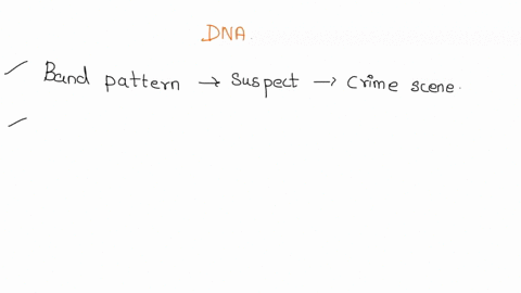 ta-_-ixin-compare-the-evidence-dna-with-the-dna-from-the-two-suspects-which-suspect-dna-pattern-matches-that-eeneraled-from-the-evidence-dna-which-suspect-is-linked-to-the-crime-t-dna-fram-t-22722