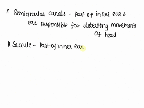 which-of-the-following-isare-associated-with-informing-the-brain-about-turning-movements-a-semicircu-97264