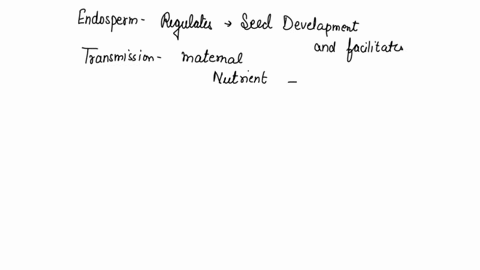 what-is-the-function-of-a-seeds-endosperm-a-it-divides-to-become-the-plants-first-root-b-it-will-become-the-plants-seed-leaves-c-it-protects-the-plant-embryo-d-it-provides-nourishment-for-th-92412