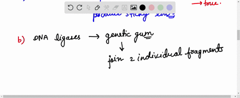which-of-the-following-tools-of-recombinant-dna-technology-is-incorrectly-paired-with-its-use-aecoari-production-of-sticky-ends-b-dna-ligase-multiplication-of-rdna-molecules-c-ori-copy-number-d-select