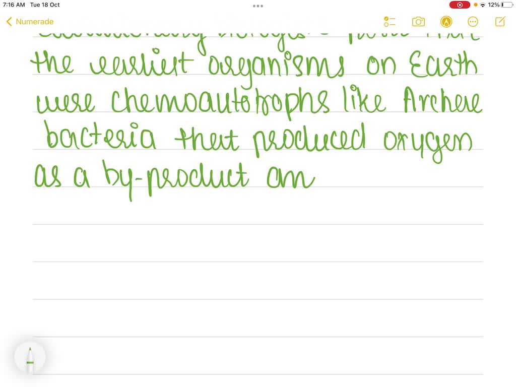 SOLVED The heterotroph hypothesis states that the first life on