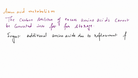 which-of-the-following-statements-about-amino-acid-metabolism-is-true-the-carbon-skeletons-of-excess-amino-acids-cannot-be-converted-into-fat-for-storage-the-carbon-skeletons-of-excess-amino-71344