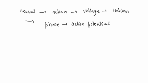 with-respect-to-the-generation-and-transmission-of-an-action-potential-from-hillock-to-terminal-button-explain-each-of-the-following-and-their-respective-roles-in-the-process-neural-integrat-50499