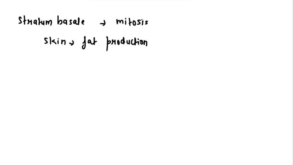 SOLVED The stratum basale or germinativum (A) is easily shed when you