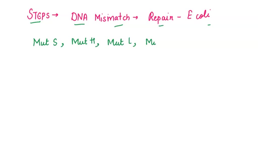 SOLVED: In the process of genetic engineering, what is the correct ...